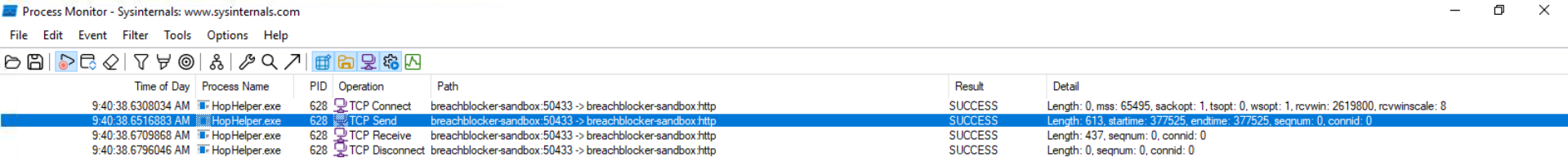 PocMon-c2-domain-name-after-filtering