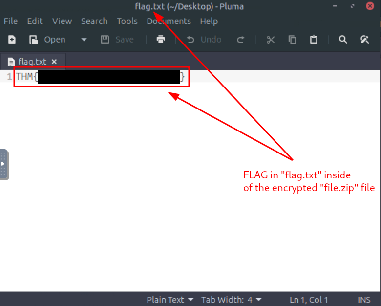 Flag hidden in encrypted archive
