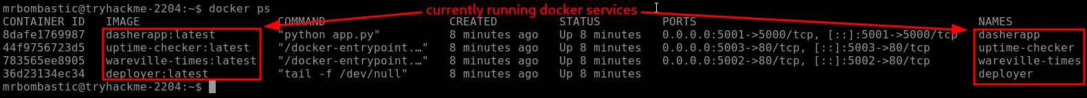 Running Docker Containers