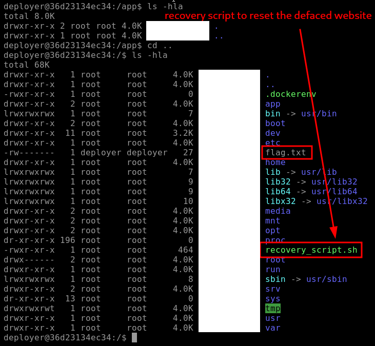 Root Directory Enumeration - Flag and Recovery Script
