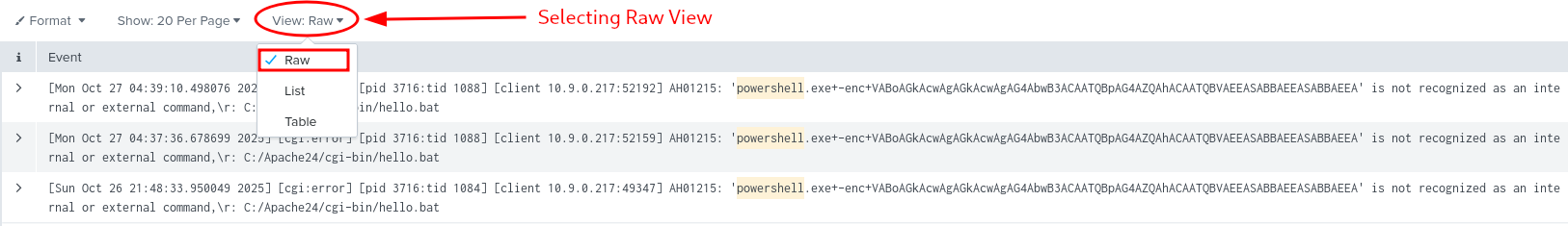 Selecting Raw View for better Readability