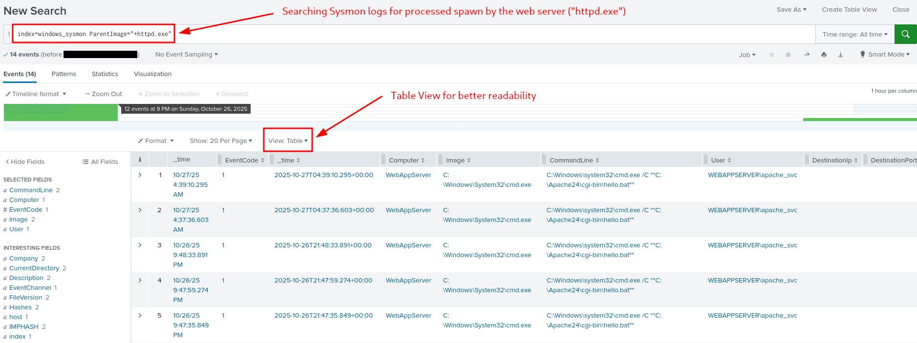 Processes spawn by the web server